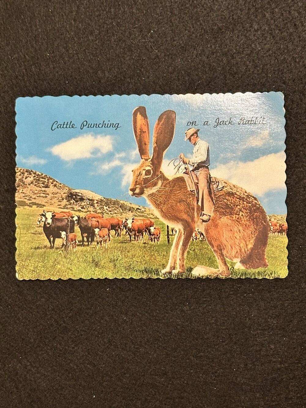 Vintage Postcard Cattle Punching In The West 1962 Petley Studios Unposted